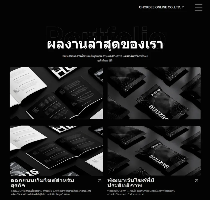 Our portfolio